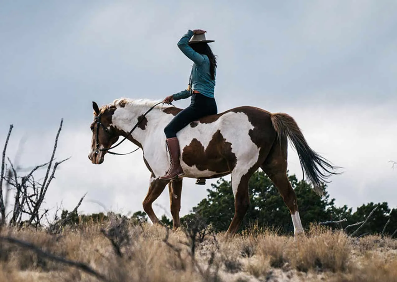 Realizzazione sito E-commerce